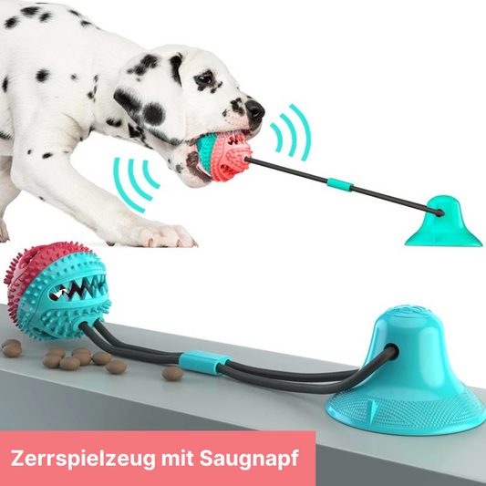 Intelligenzspielzeug für Hunde mit Saugnapf - für geistige und körperliche Fitness